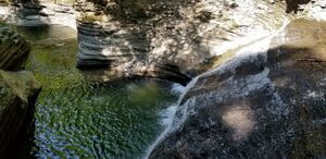 Buttermilk Creek pic006.jpg