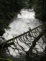 Duncan Creek-20170518203259 pic.jpg