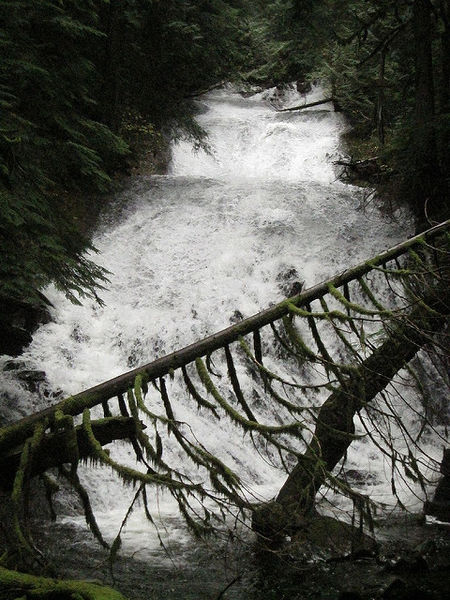 File:Duncan Creek-20170518203259 pic.jpg