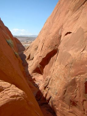 Egypt 1.5 Canyon (Bobo) Banner.jpg