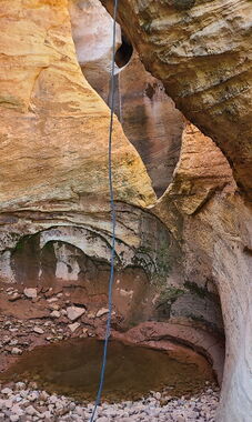 Pool Creek (Dinosaur) Banner.jpg