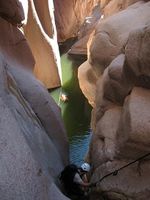 Salome Jug-20160211002637 pic.jpg