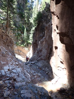 Sheepdog Creek Banner.jpg