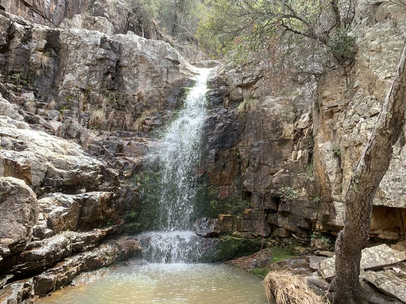 File:FILE-20220322001829.jpg