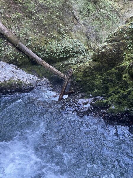 File:FILE-20250419153435.jpg