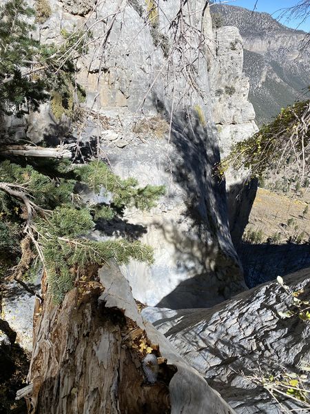 File:Hose Monster (Top Down) start.jpg