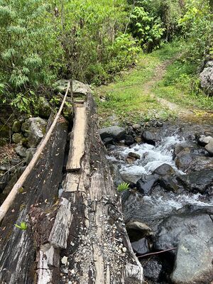 Stream crossing