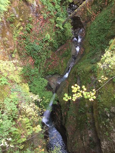 Davis Creek Canyon-20181008153005 pic.jpg