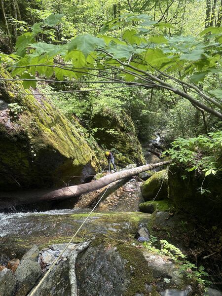 File:Mudcut Branch Canyon r4a.jpg
