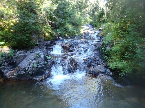 Chinook Creek-20200811041133 pic.jpg