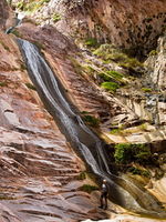Garden Creek-20150805075518 pic.jpg