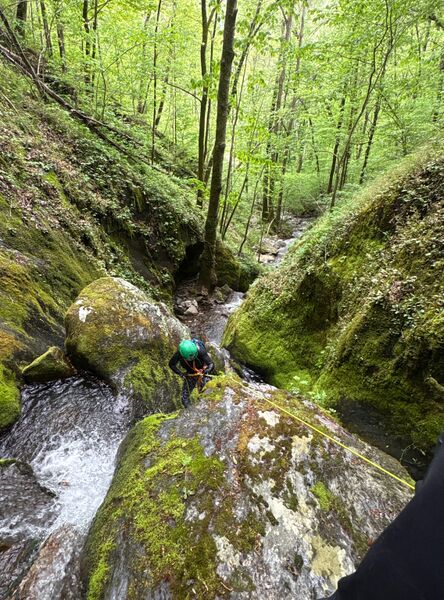 File:Mudcut Branch Canyon r8a.jpg