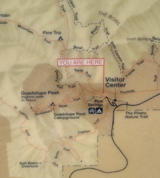File:Pine Springs (Devil's Hall) pic1.jpg
