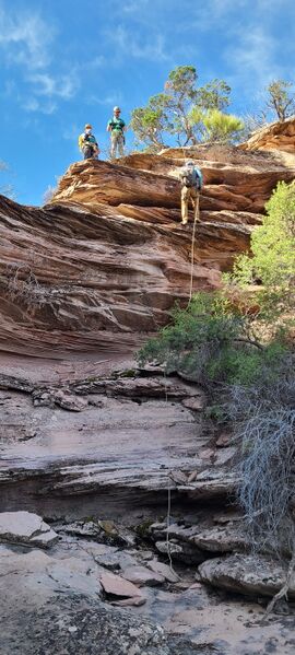 File:Pinyon Canyon (CNM) pic008.jpg