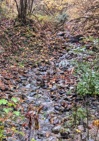 File:Clear Creek (West Fork)-20211011170845 pic.jpg