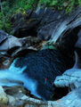 Thumbnail for version as of 13:32, 20 September 2024