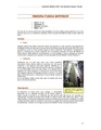 Thumbnail for version as of 18:47, 2 June 2016