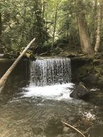 Quicksilver Creek-20220727151850 pic.jpg