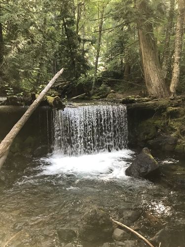Quicksilver Creek-20220727151850 pic.jpg