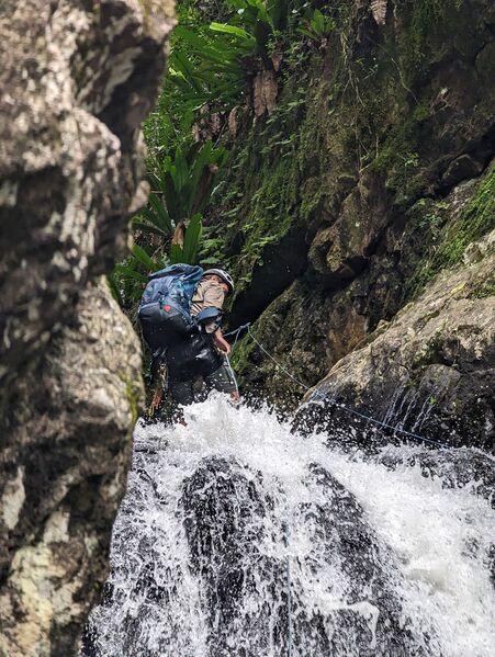 File:Black Adder Banner.jpg