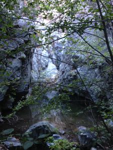 Devil Gulch pics3.jpg