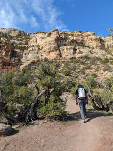 Lower Ute Canyon pics4.jpg