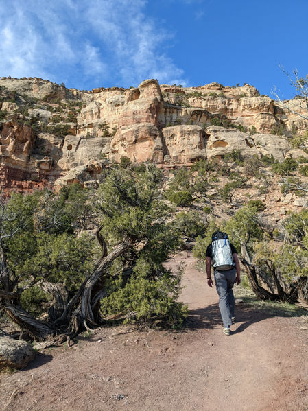 File:Lower Ute Canyon pics4.jpg