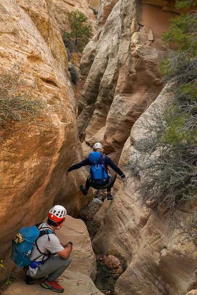 File:Bearwater Canyon pic3.jpg