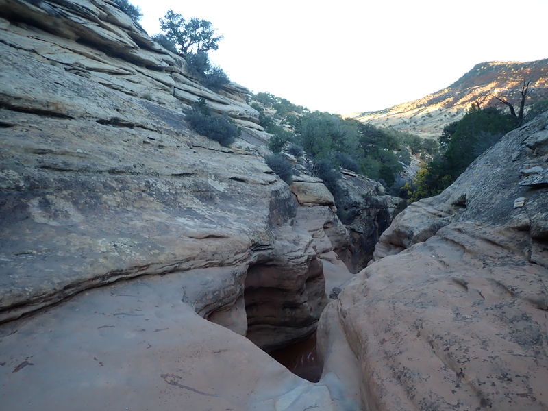 File:Miller Creek (Dinosaur) pic15.jpg