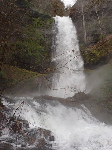 Stafford Creek-20170320180540 pic.jpg