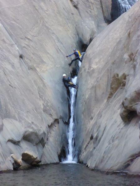 File:Stevenson Creek (Lower) stem.jpg