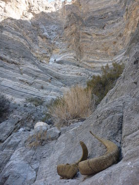 Valkyrie Canyon Banner.jpg