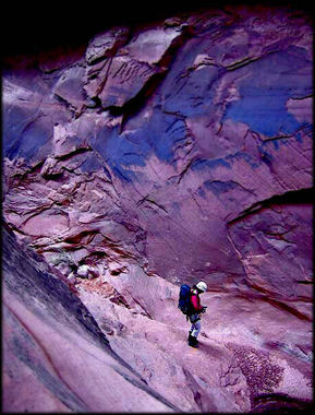 Constrychnine Canyon Banner.jpg