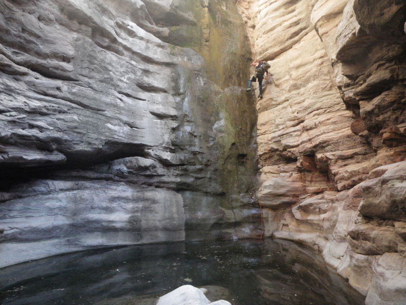 File:Tank Canyon Banner.jpg