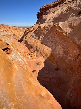 Bloodhound Canyon Banner.jpg
