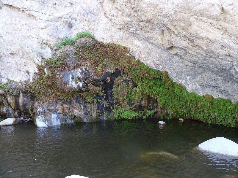 File:FILE-20150330031106.jpg