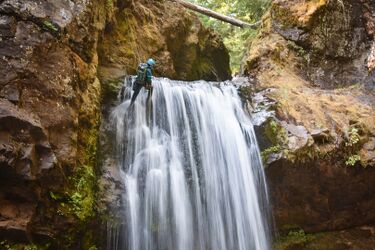 Steamboat Falls Banner.jpg