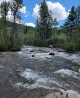 Lime Creek (Durango)-20240828015636 pic.jpg