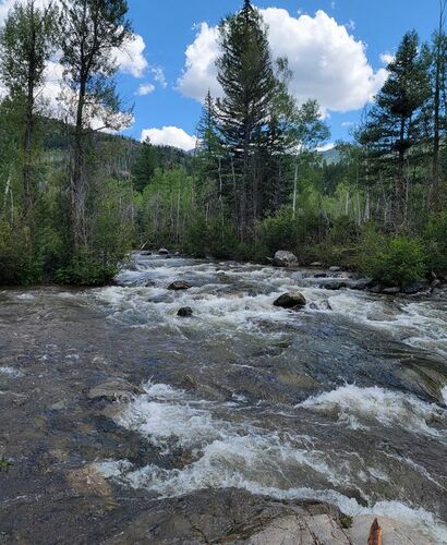 Lime Creek (Durango)-20240828015636 pic.jpg