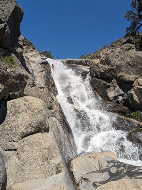 Ross Creek Banner.jpg