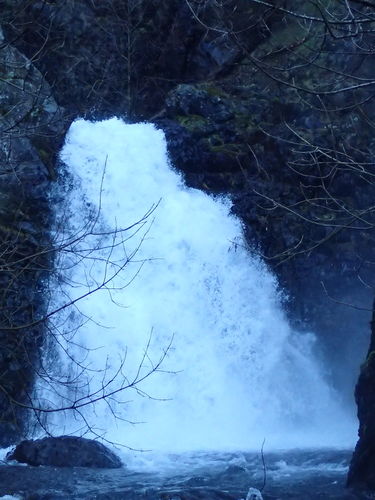 Dog Creek-20170320181851 pic.jpg