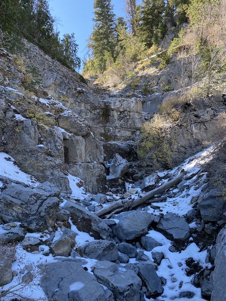 File:Hose Monster (Top Down) downclimb.jpg