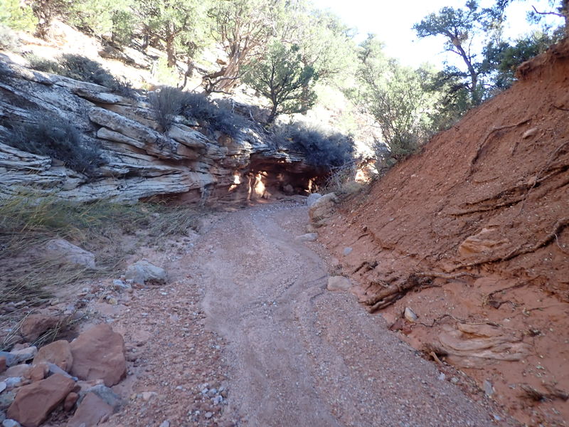 File:Miller Creek (Dinosaur) pic3.jpg