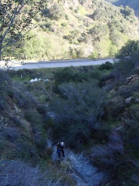 Poison Canyon Banner.jpg