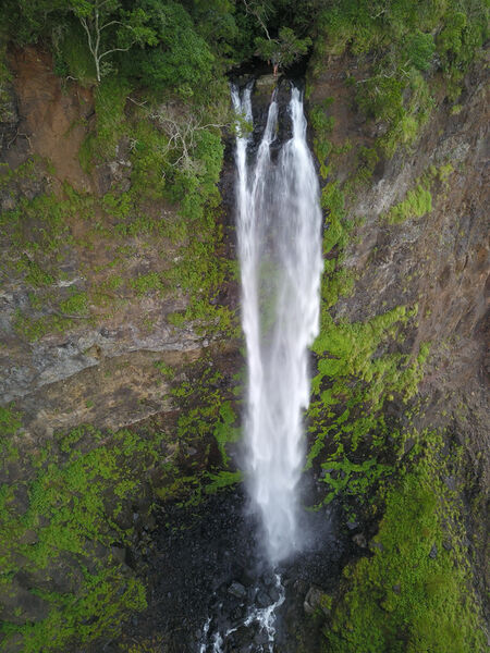 File:Teviot Falls Banner.jpg