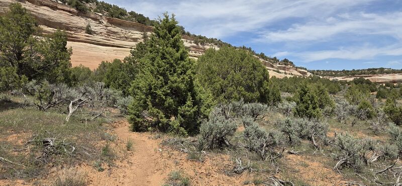 File:Upper Knowles Canyon pic002.jpg