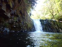 Abiqua Creek-20211101184349 pic.jpg