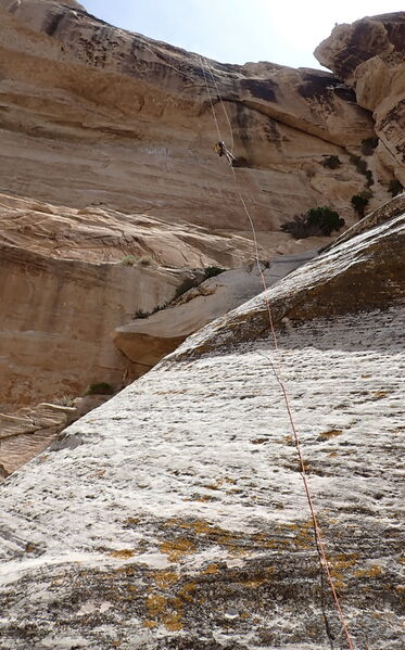 File:Hog Canyon in Dinosaur NM pic7.jpg