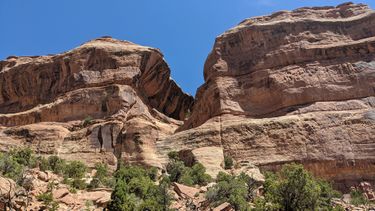 Liberty Cap Banner.jpg