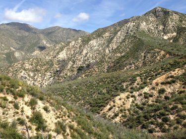 Vogel Canyon (Passana Branch of Sunyata Fork) Banner.jpg